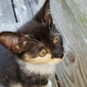 Meet your Posher, Larry